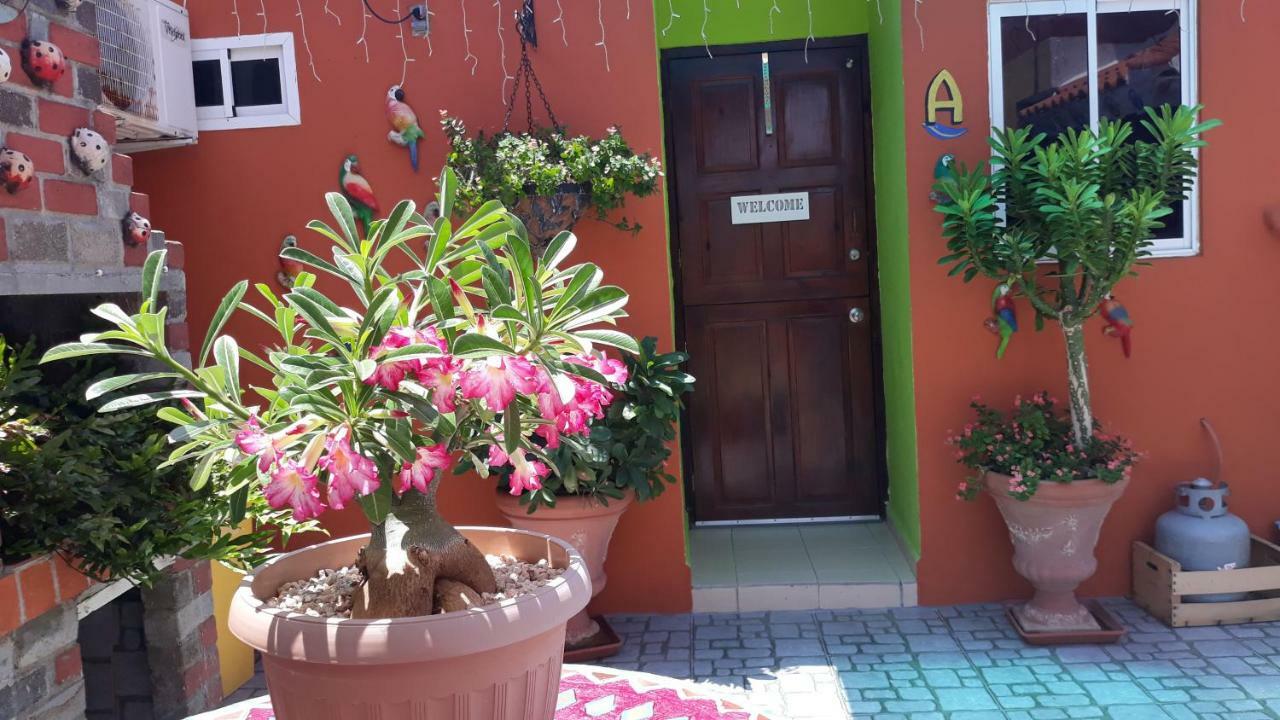 Terrakota Apartments Willemstad Exterior photo